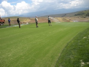 Spraying of green with Hydrotac